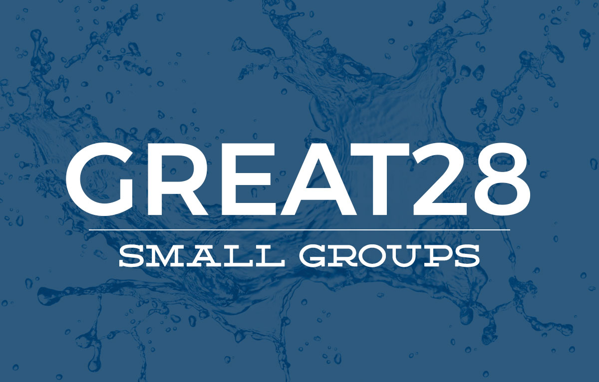 g28-smallgroups